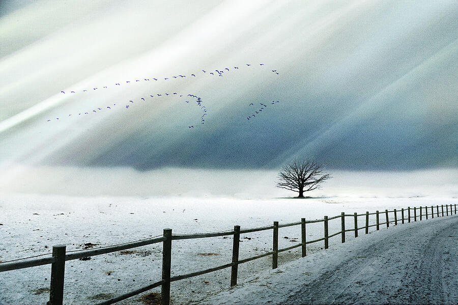 Winds of Solitude Photograph by Randi Grace Nilsberg Winds of Solitude Photograph by Randi Grace Nilsberg