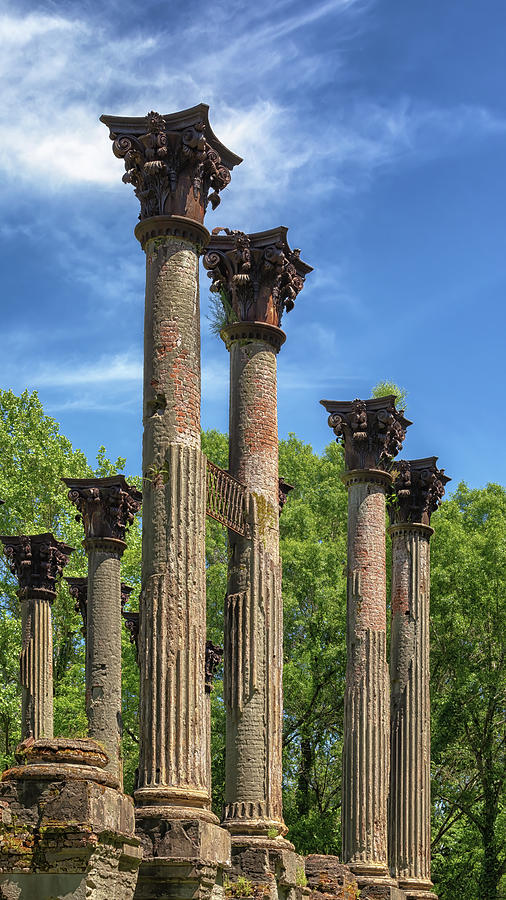Windsor Ruins Columns Photograph by Susan Rissi Tregoning