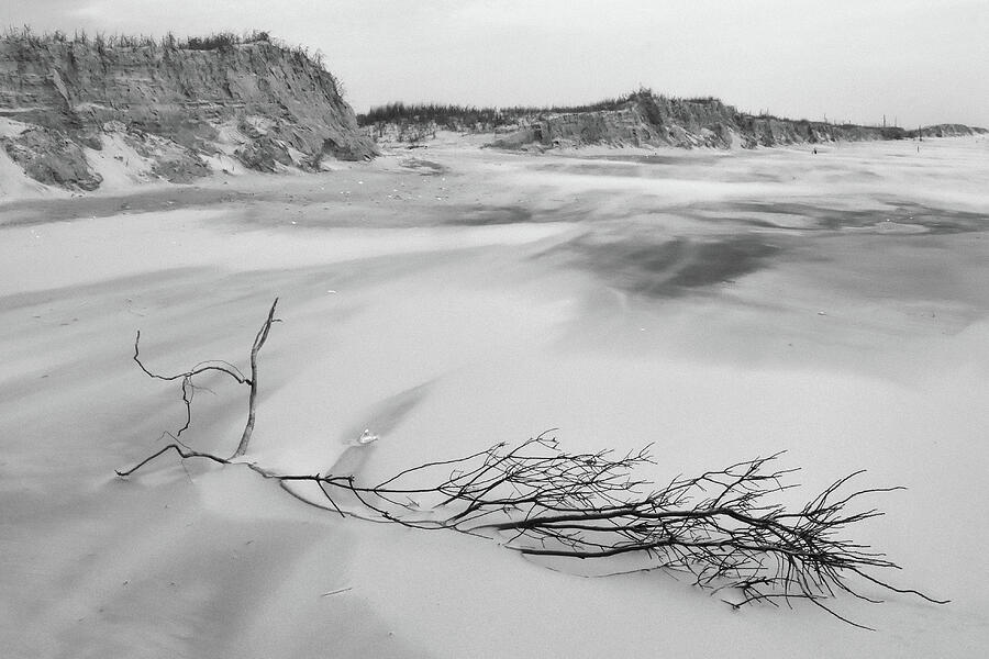 Black And White Photograph - Windswept Beach Black and White by Greta Foose