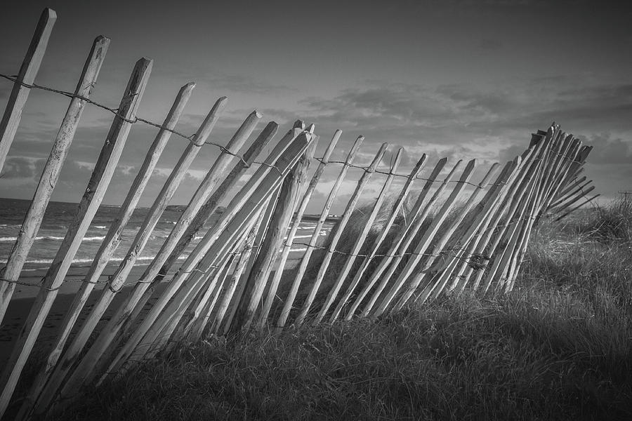 Windswept Divider Photograph by Mark Callanan