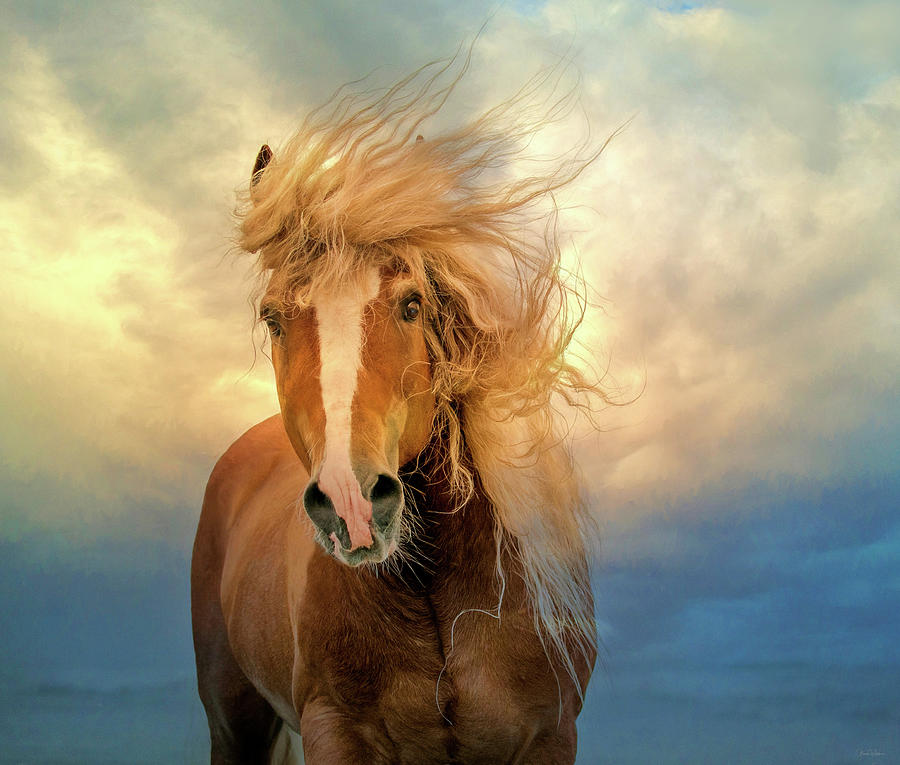 Horse Digital Art - Windswept by Nicole Wilde