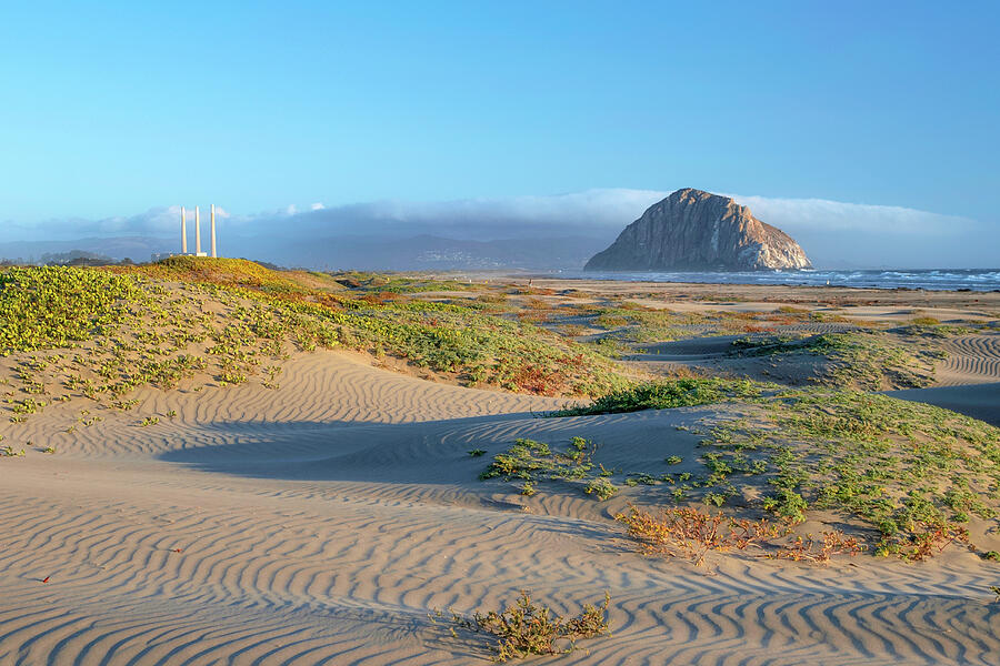 Windswept Sand Dunes in Morro Bay Photograph by Matthew DeGrushe