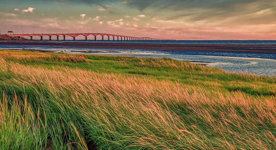 Windswept Shore in the Shadow of Confederation Bridge Photograph by Marcy Wielfaert