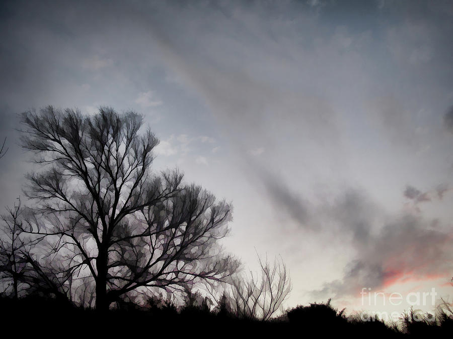 Sunrise Photograph - Windy Clouds by AnnMarie Parson-McNamara