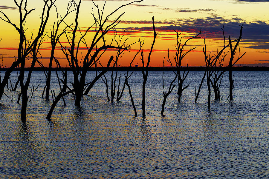 Windy lake sunset with trees and a beautiful sky Photograph by David ...