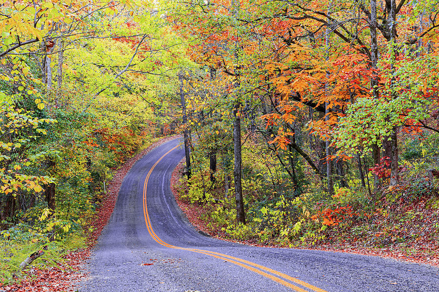 Winding road during Fall season at Tyler State Park Photograph by David Ilzhoefer