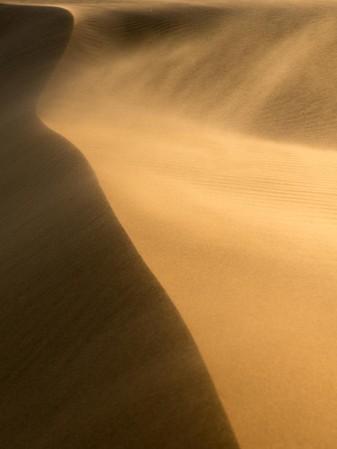Windy Sand Dune Photograph by Peter Boehringer