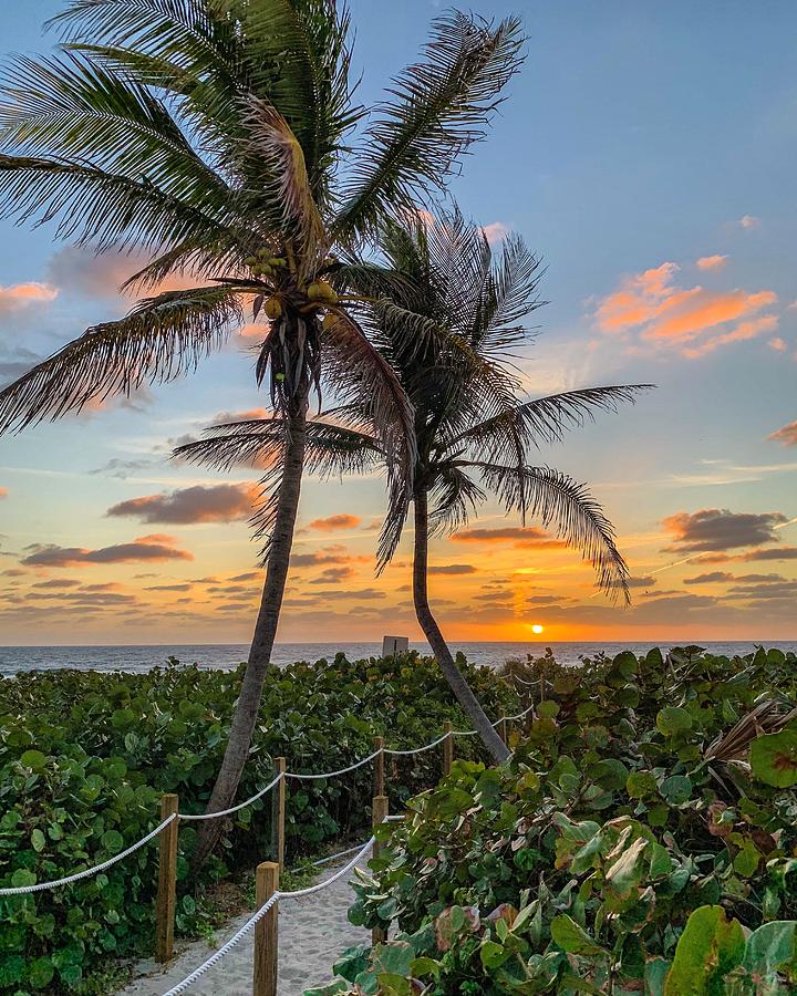 Windy Sunday Sunrise Photograph by Marissa Bannon - Fine Art America