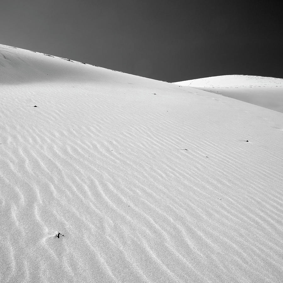 Windy traces. Bolonia dune. Tarifa. Cadiz Spain. Photograph by Guido ...