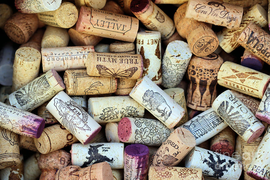 Wine and Champage Corks Photograph by Vivian Krug Cotton