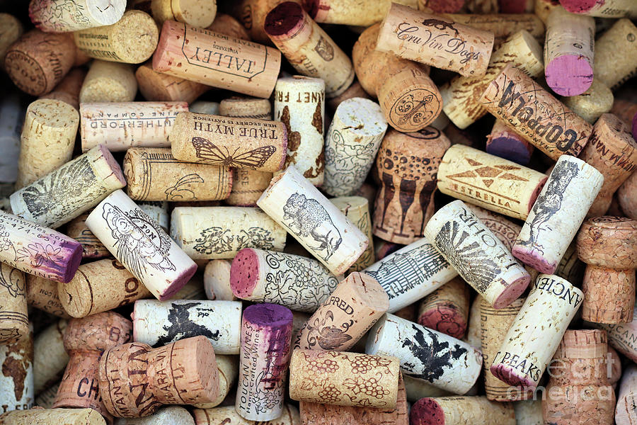 Wine and Champagne Corks Photograph by Vivian Krug Cotton