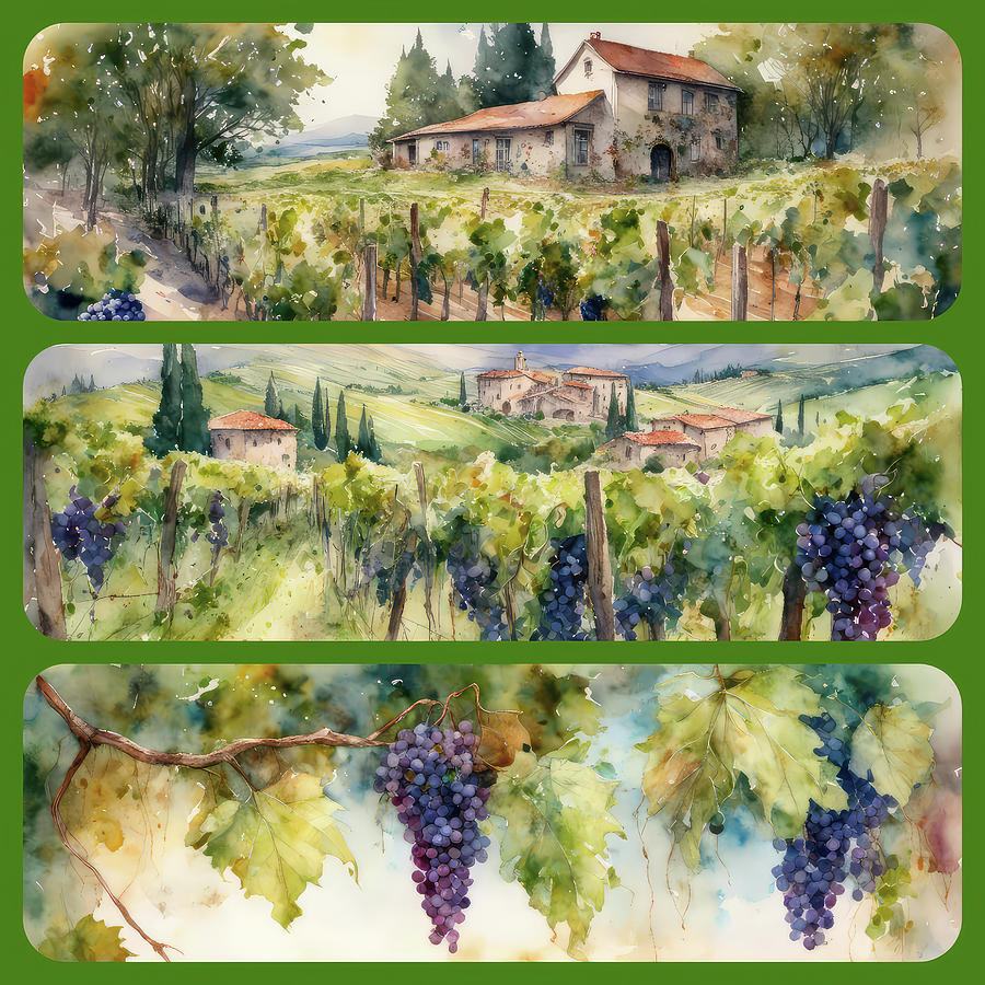Wine Art Vineyards And Tasting Rooms Collage Digital Art