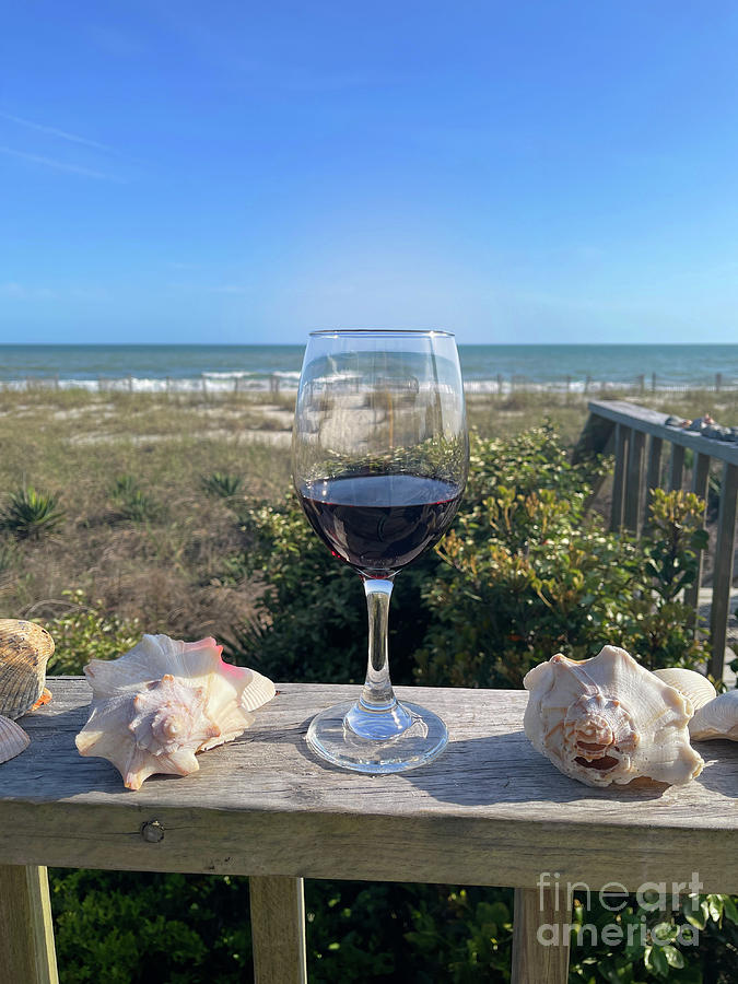Wine at the Beach  7193 Photograph by Jack Schultz
