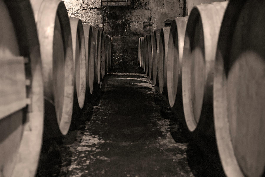 Wine Barrel Alley in Sepia Photograph by Georgia Fowler