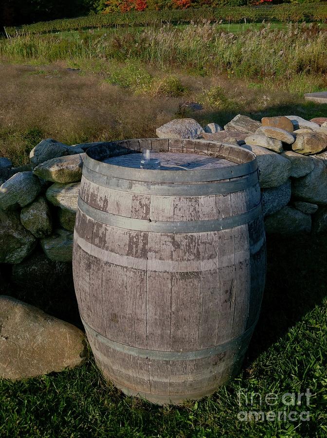 Wine Barrel at the Stone Wall Photograph by Margie Avellino