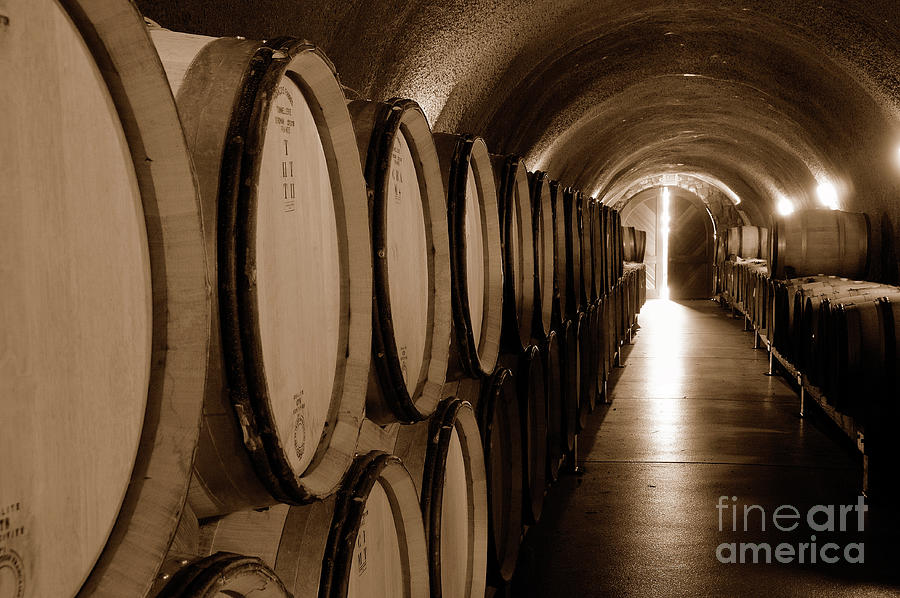 Wine Barrels in Cellar Cave in Willamette Valley Oregon Photograph by Tom Schwabel