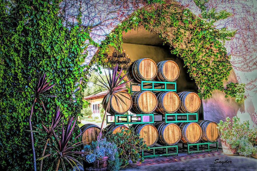 Wine Barrels In the Courtyard Photograph by Floyd Snyder