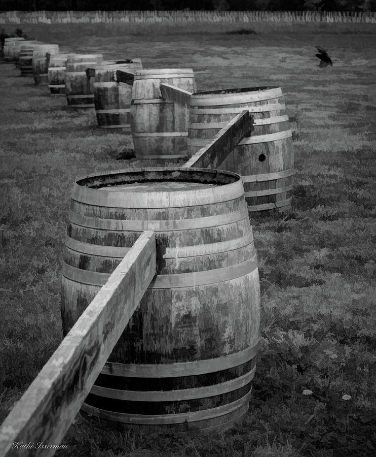 Wine Barrels Photograph by Kathi Isserman