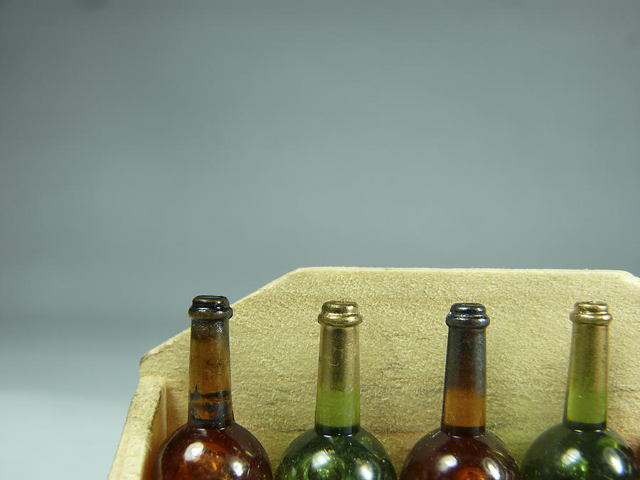 Wine bottles miniature Photograph by Yogesh_more