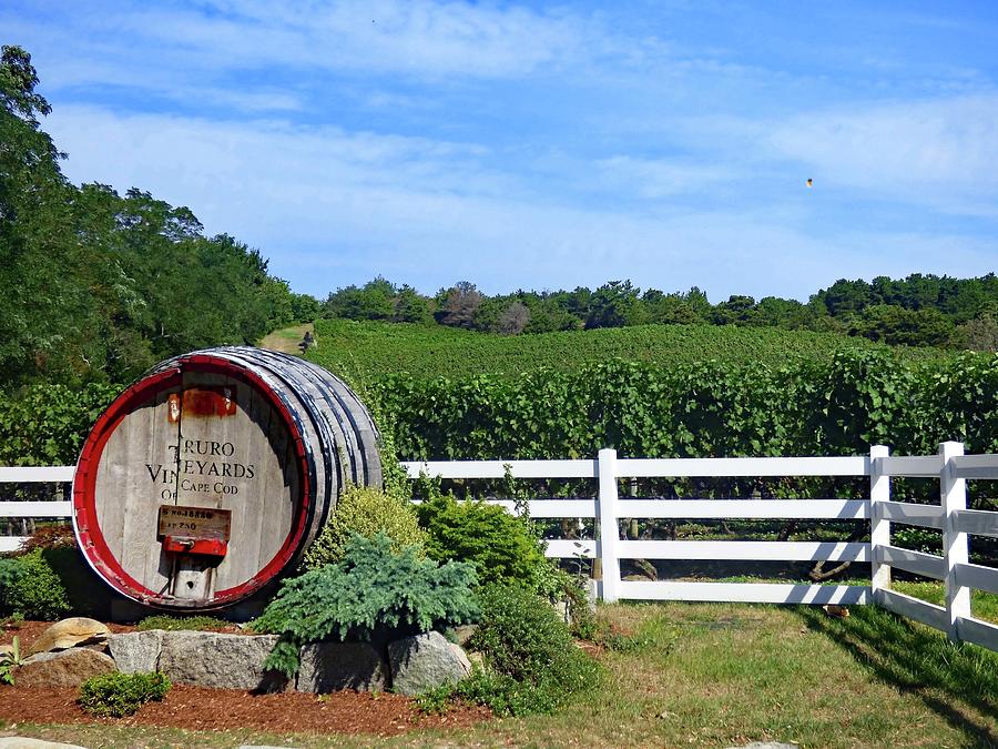 Wine Cask Truro Vineyards Photograph