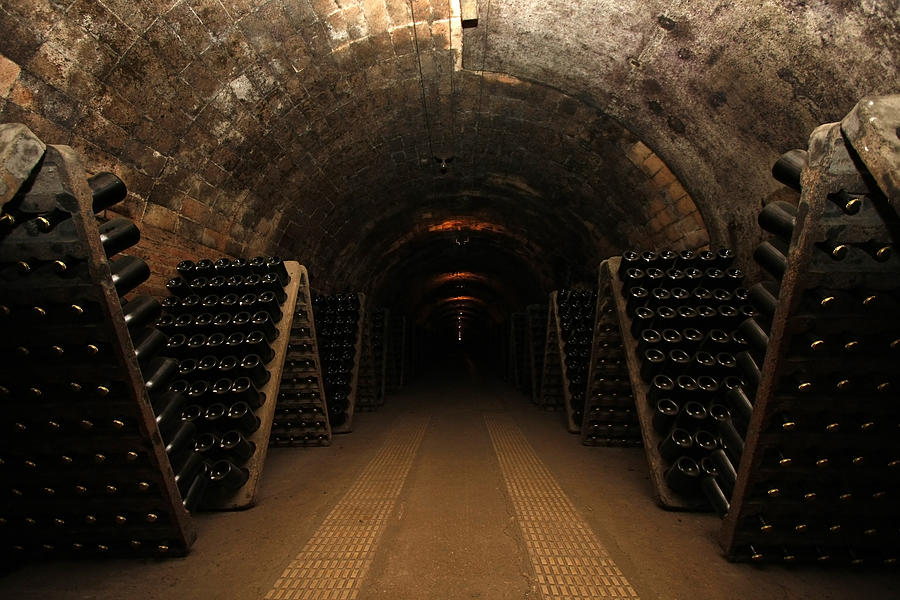 Wine cellar Photograph by BremecR