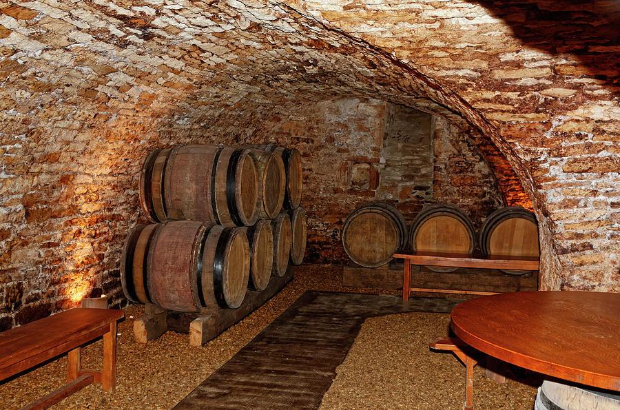 Wine Cellar Photograph by Sally Weigand