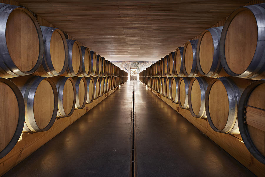 Wine cellar Photograph by Vostok