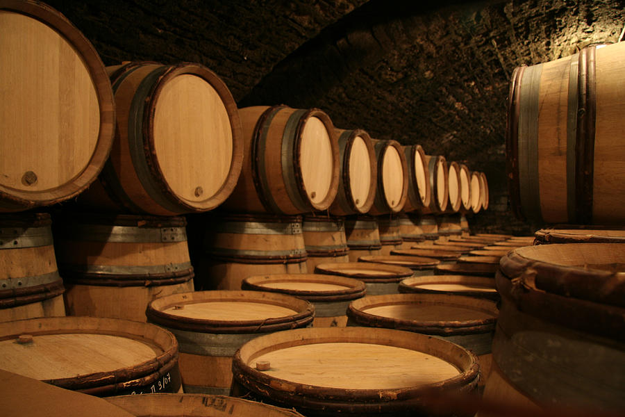 Wine cellar with oak barrels Photograph by Leeuwtje