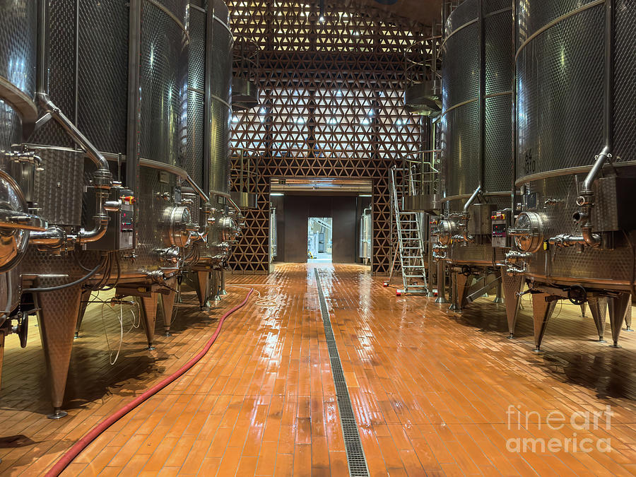 Wine Fermentation  Photograph by William Norton