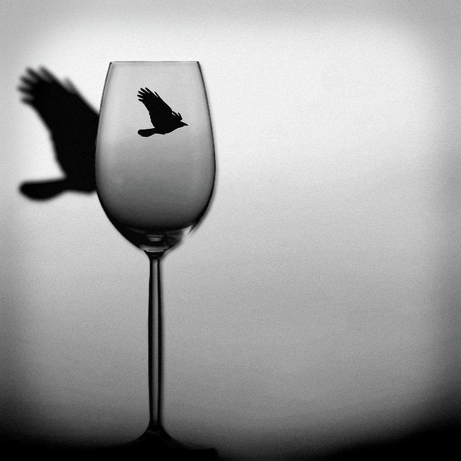 Wine Flight Photograph by Susan Maxwell Schmidt
