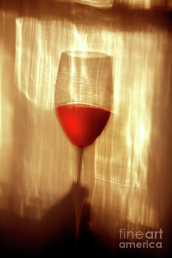 Wine glass Photograph by George Robinson