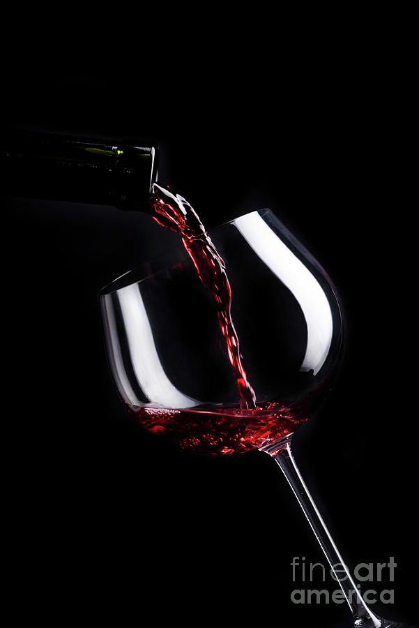 Wine glass on black Photograph by Jelena Jovanovic