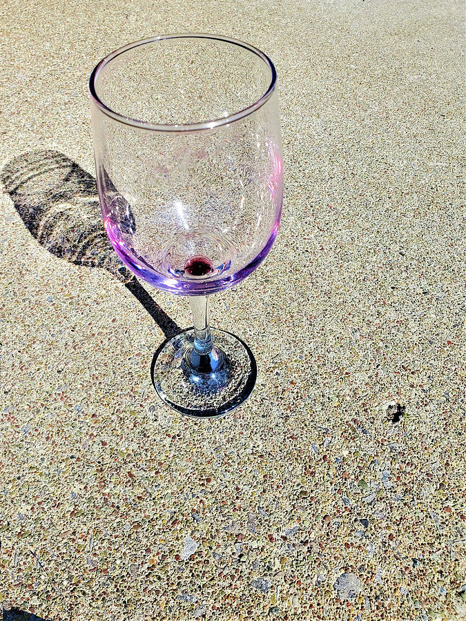  Wine glass on the front step and out of wine Photograph by Gerald Salamone