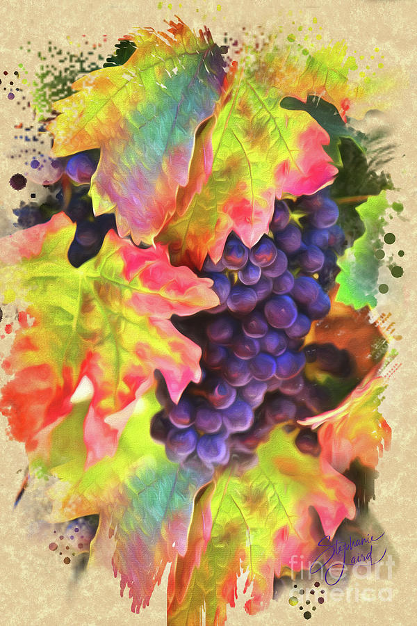 Wine Grapes Autumn Vineyard Harvest Surreal  Photograph by Stephanie Laird