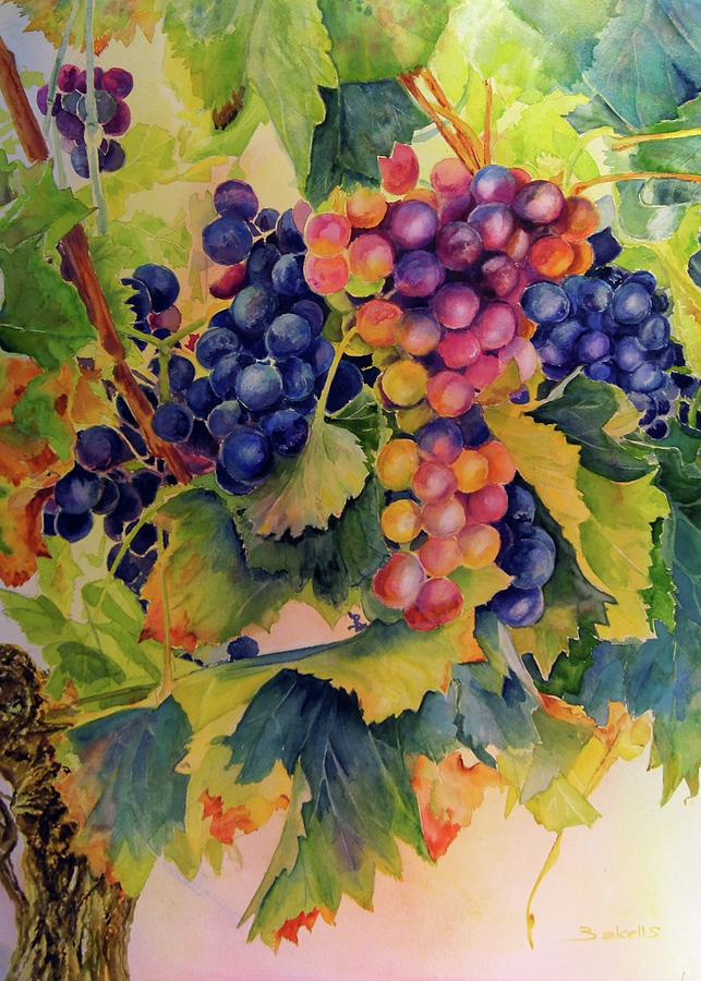 Wine Grapes Painting by Maria Balcells | Pixels