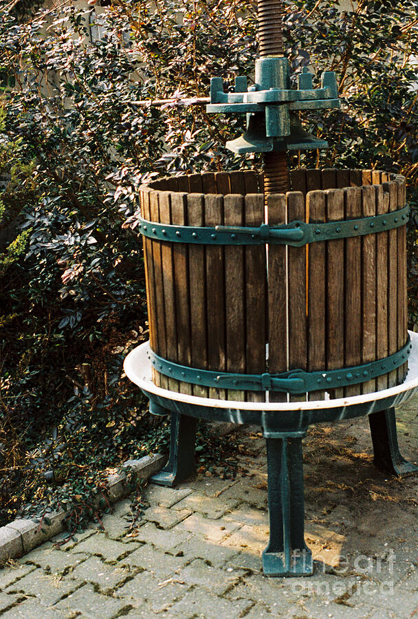 Wine Press Photograph by Amy Curtis