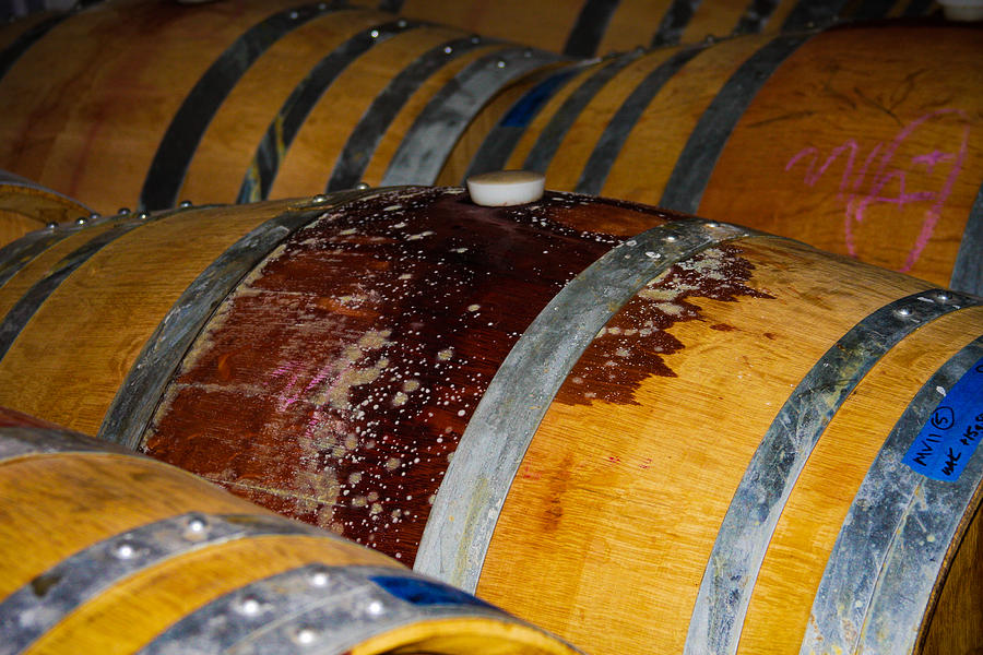 Wine Soaked Barrels Photograph by Bonny Puckett