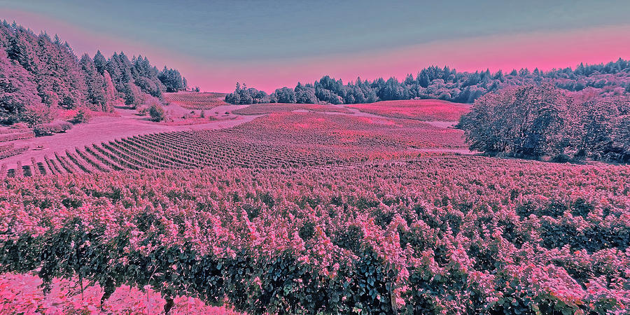 Winery in Oregon Photograph by Bruce Block