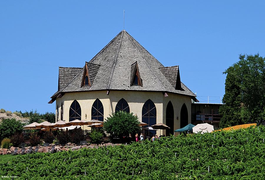 Winery On A Sunny Afternoon Photograph