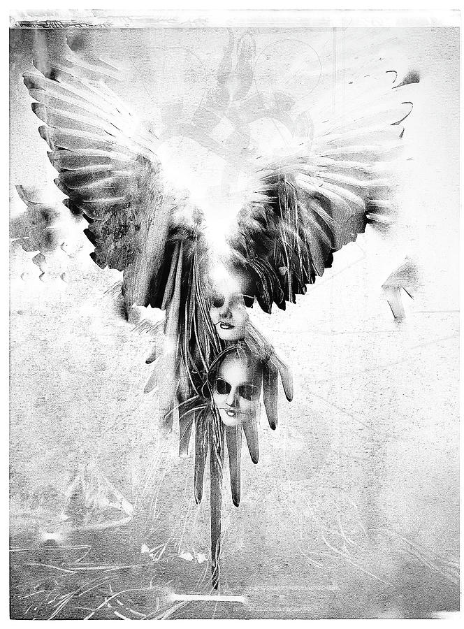 Wing Art 1 Digital Art by Gil Cope