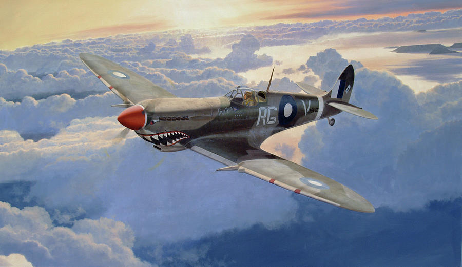 Wing Commander Gibbes in his Spitfire Mk.8 Painting by Steven Heyen