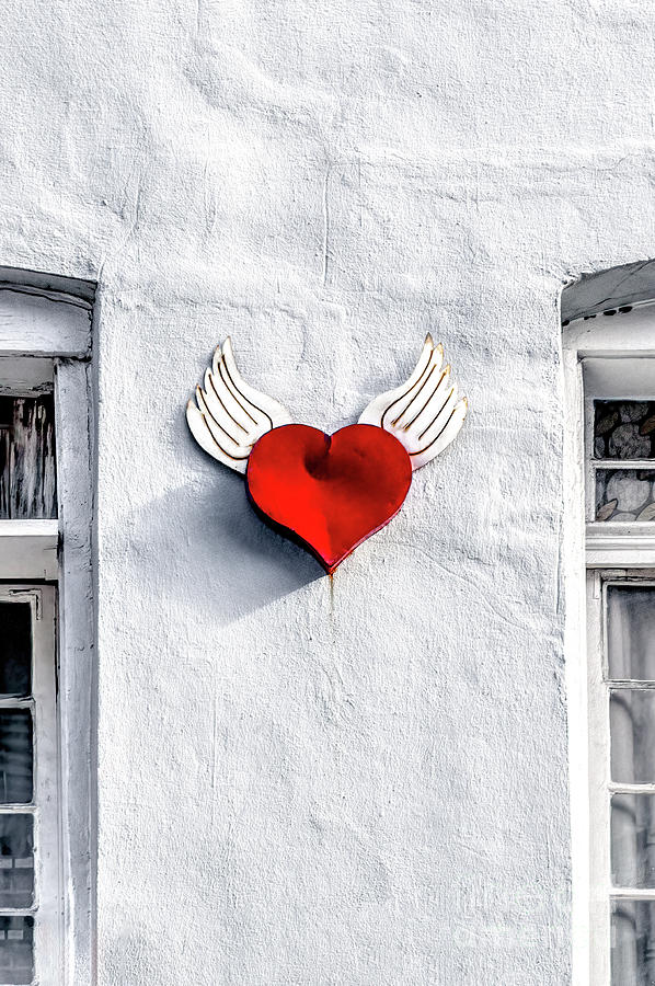Winged Heart Photograph by Frances Ann Hattier