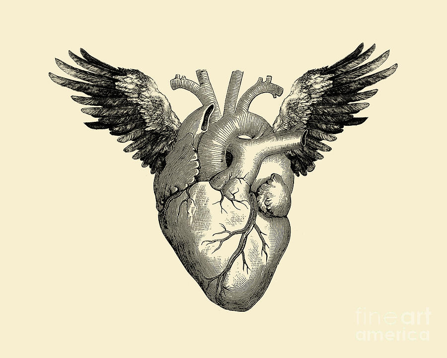 Feather Digital Art - Winged heart by Madame Memento