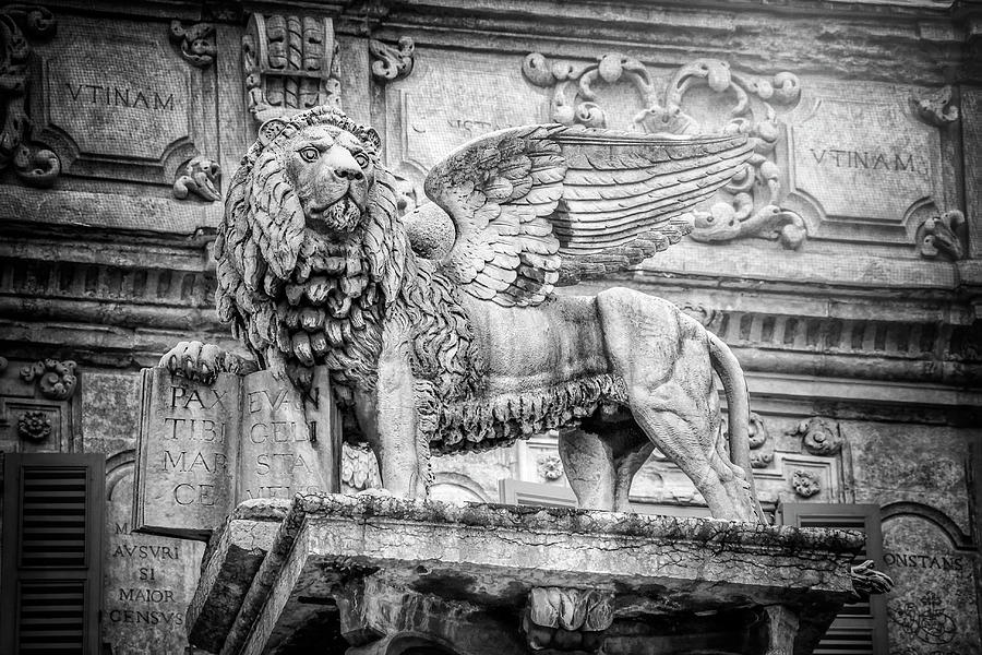 Veronese Photograph - Winged Lion Piazza delle Erbe Verona Black and White  by Carol Japp