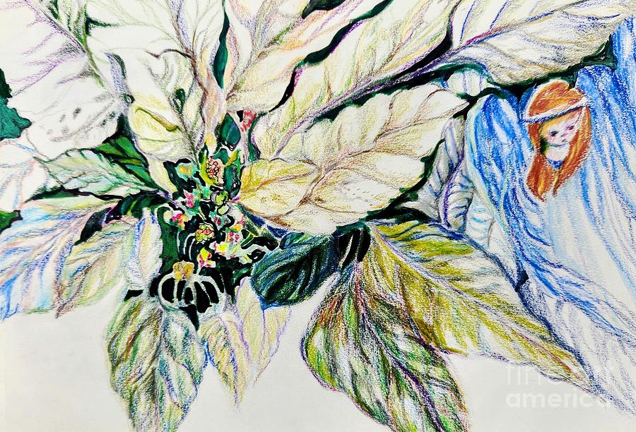 Winged Poinsettia Drawing by Mindy Newman