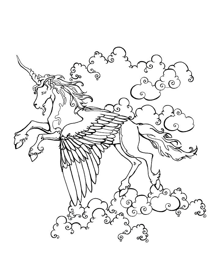 Winged Unicorn Drawing by Katherine Nutt