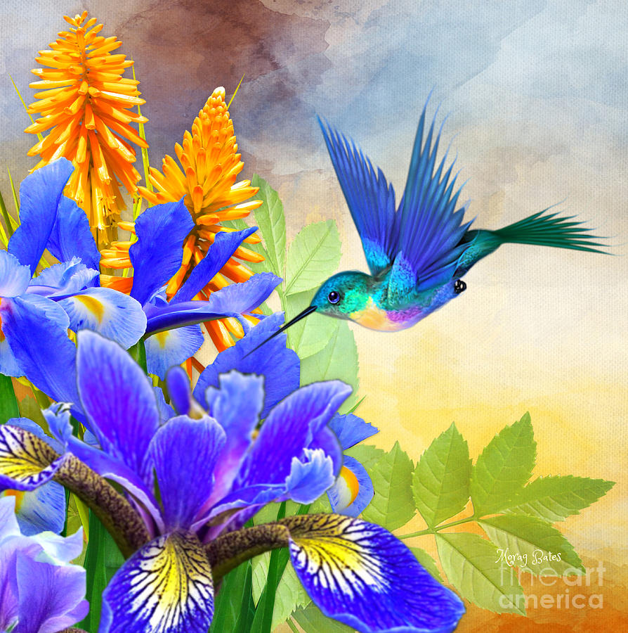 Wings of Blue Digital Art by Morag Bates