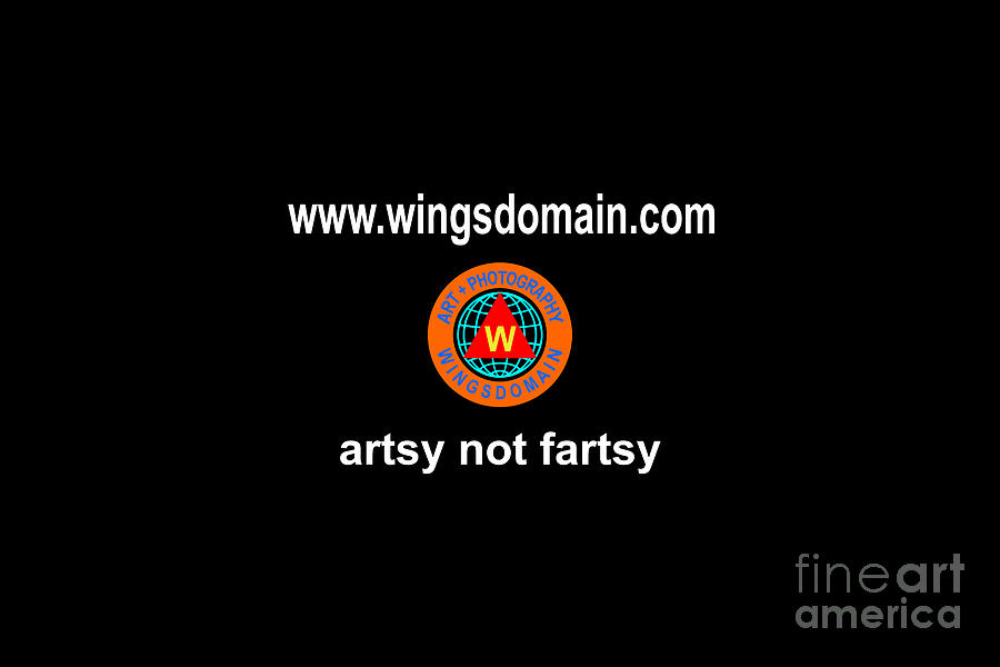 Wingsdomain Artsy Not Fartsy Facemask 3 Photograph by Wingsdomain Art and Photography