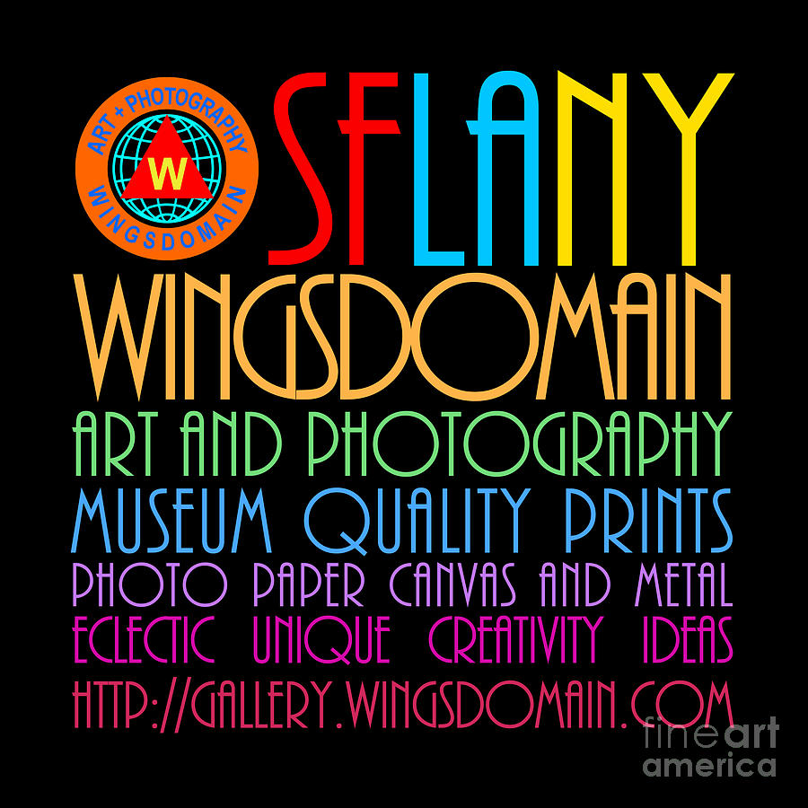 Wingsdomain Logo 1 Photograph by Wingsdomain Art and Photography