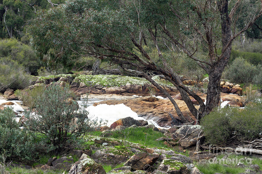 Winnejup Falls, Nr. Bridgetown, Western Australia Photograph by Elaine Teague